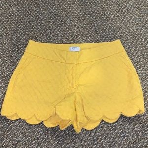 Yellow crown and ivy shorts